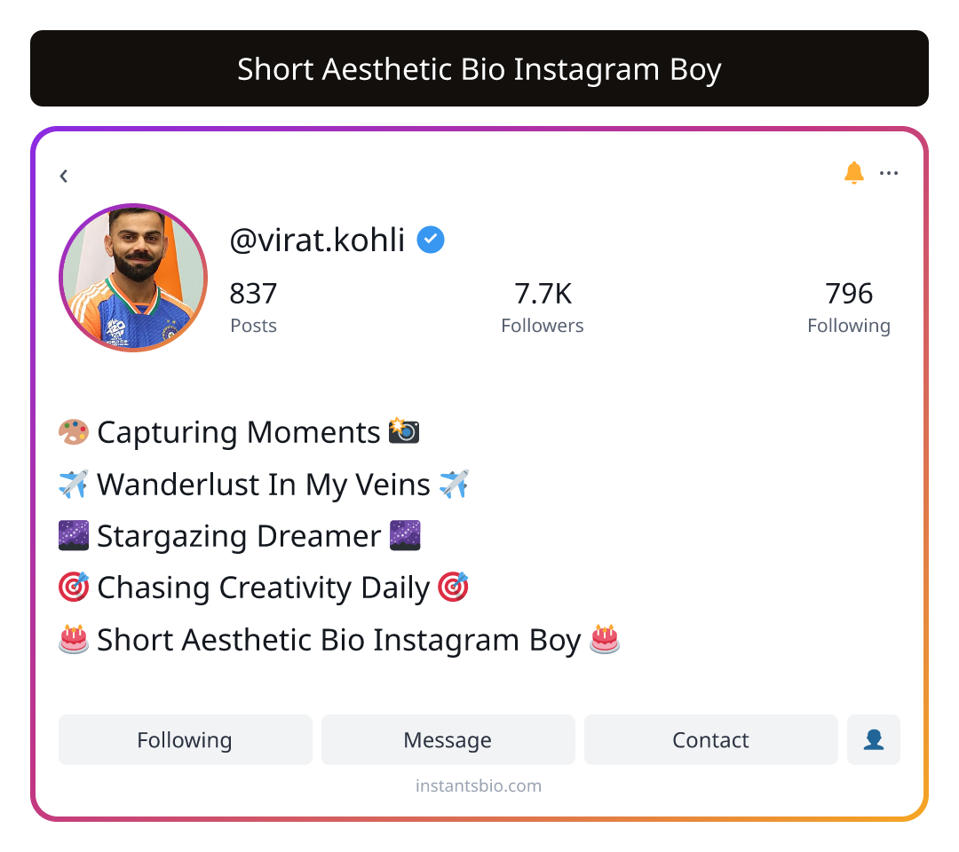 Short Aesthetic Bio Instagram Boy