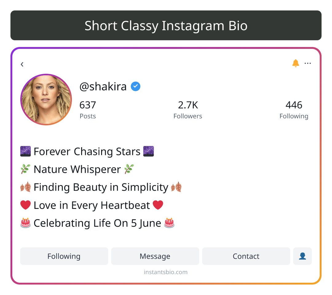 Short Classy Instagram Bio