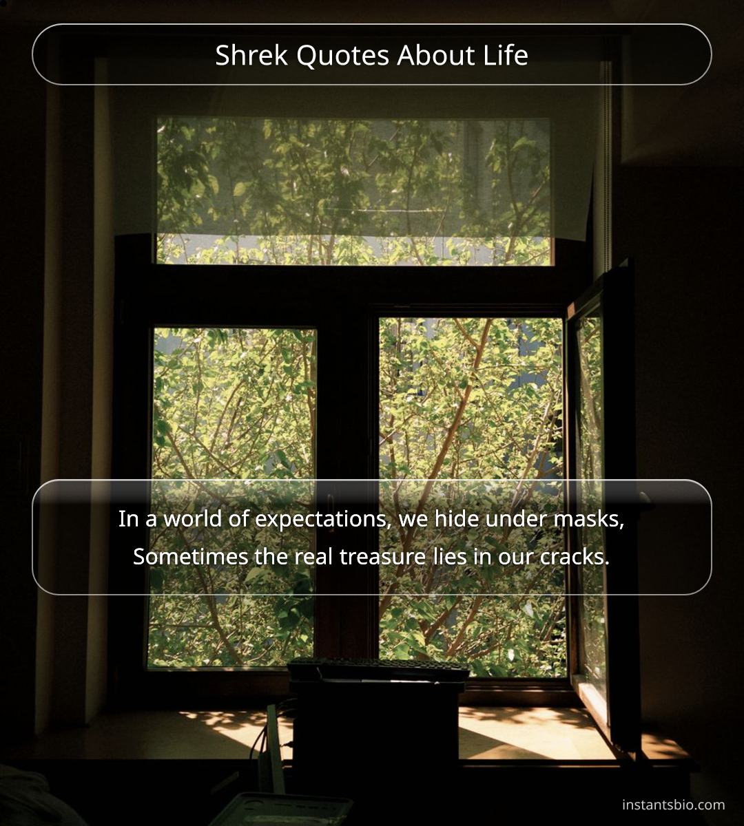 Shrek Quotes About Life