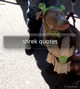 shrek quotes