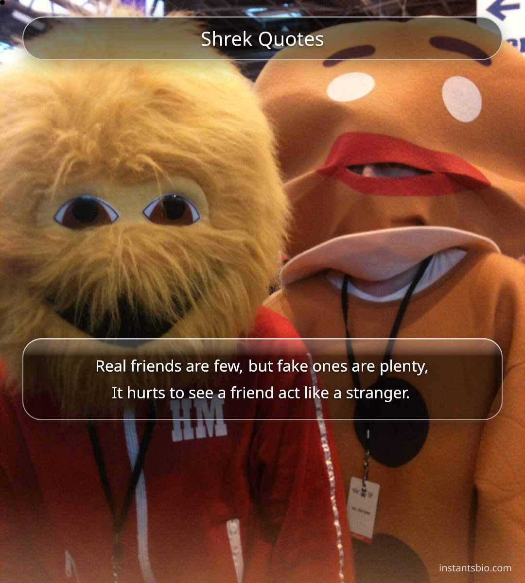 Shrek Quotes