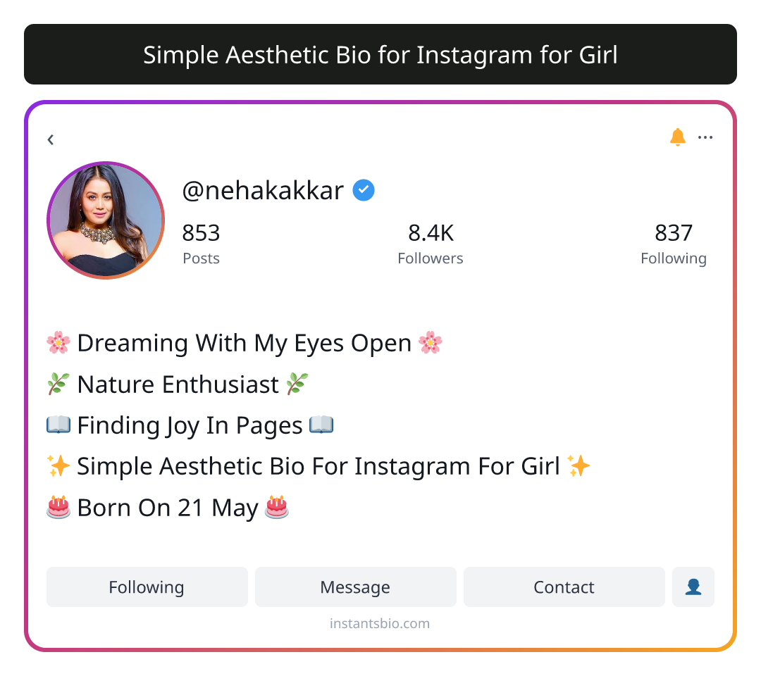 Simple Aesthetic Bio for Instagram for Girl