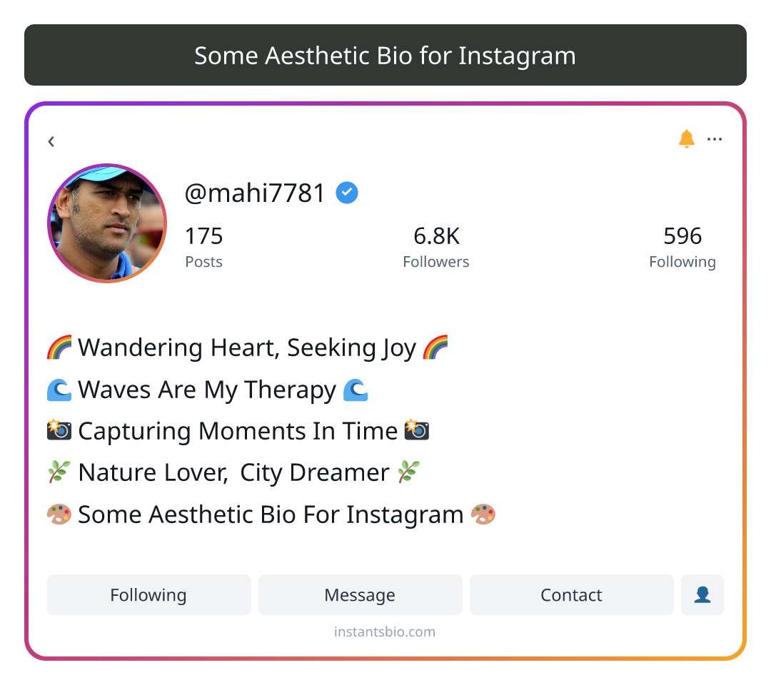 Some Aesthetic Bio for Instagram