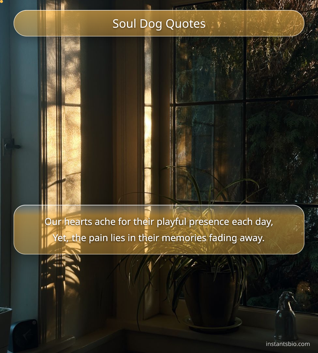 Soul Dog Quotes
