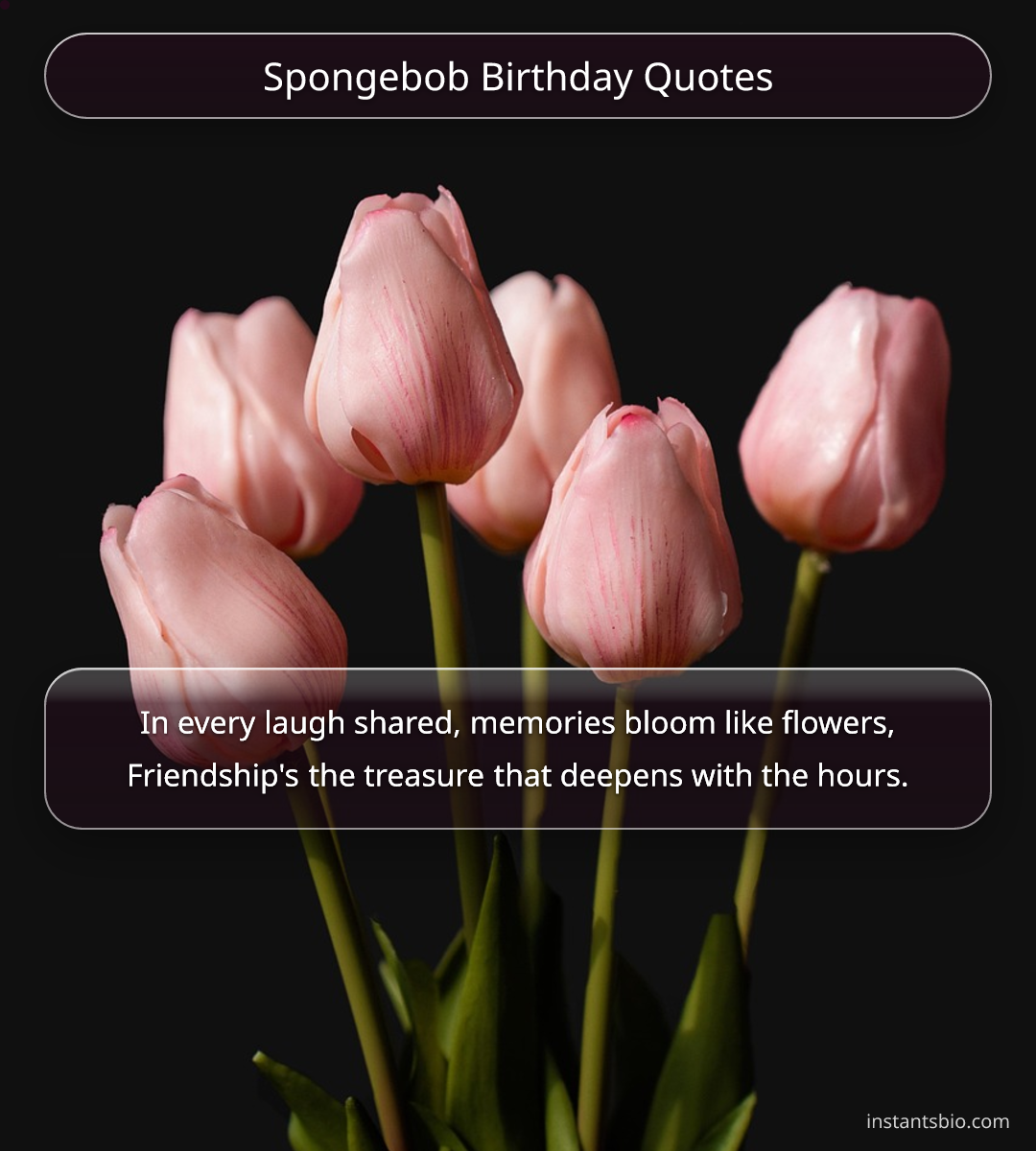 Spongebob Birthday Quotes - spongebob quotes