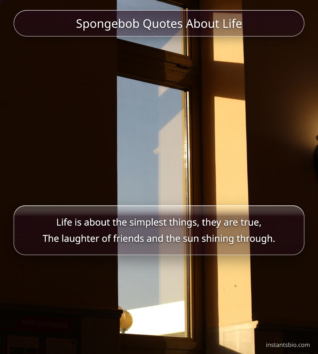 Spongebob Quotes About Life