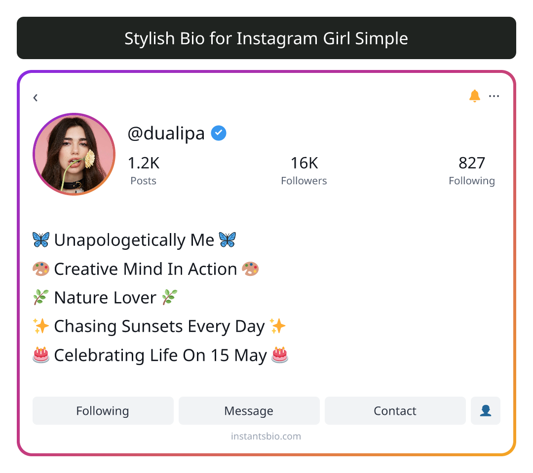 Stylish Bio for Instagram Girl Simple