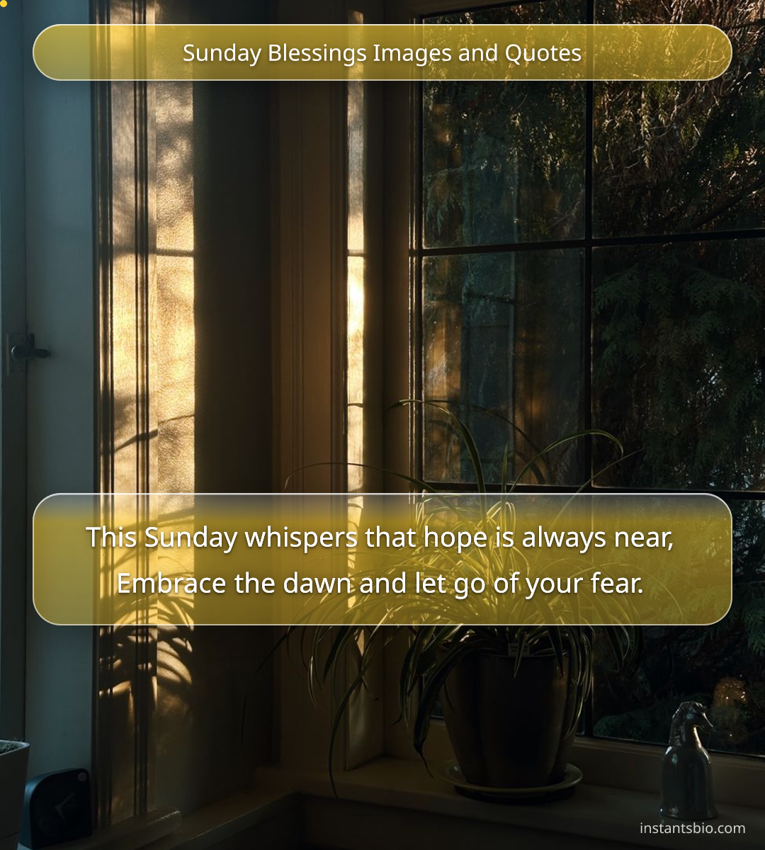 Sunday Blessings Images and Quotes - sunday quotes