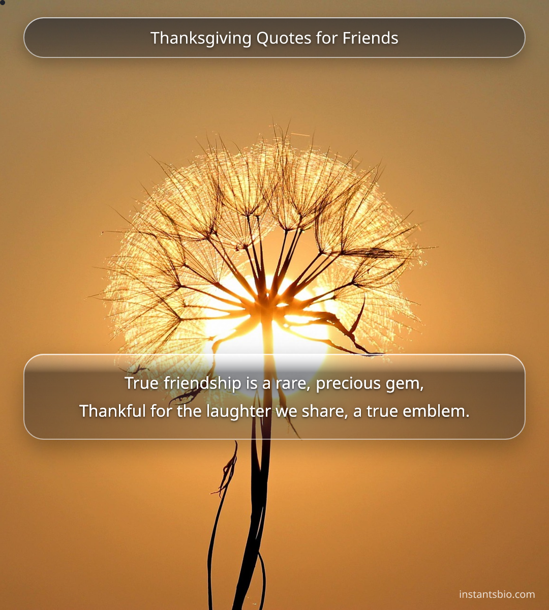 Thanksgiving Quotes for Friends