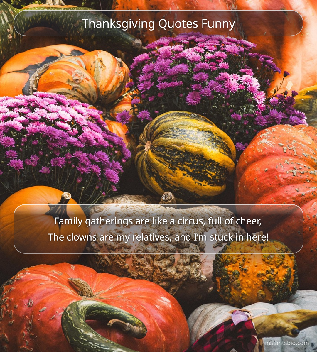 Thanksgiving Quotes Funny
