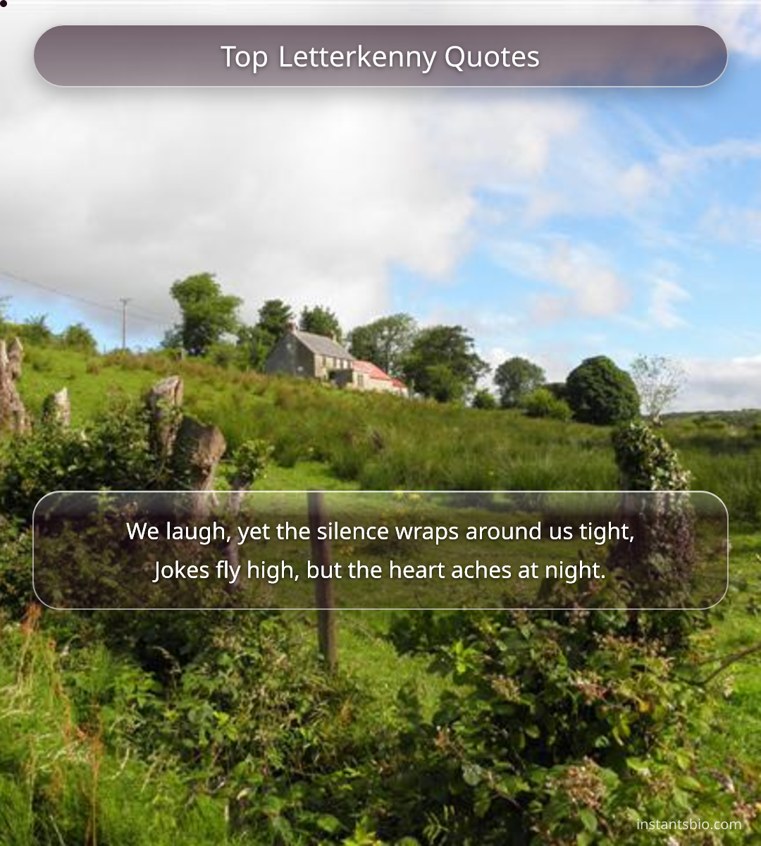 Top Letterkenny Quotes