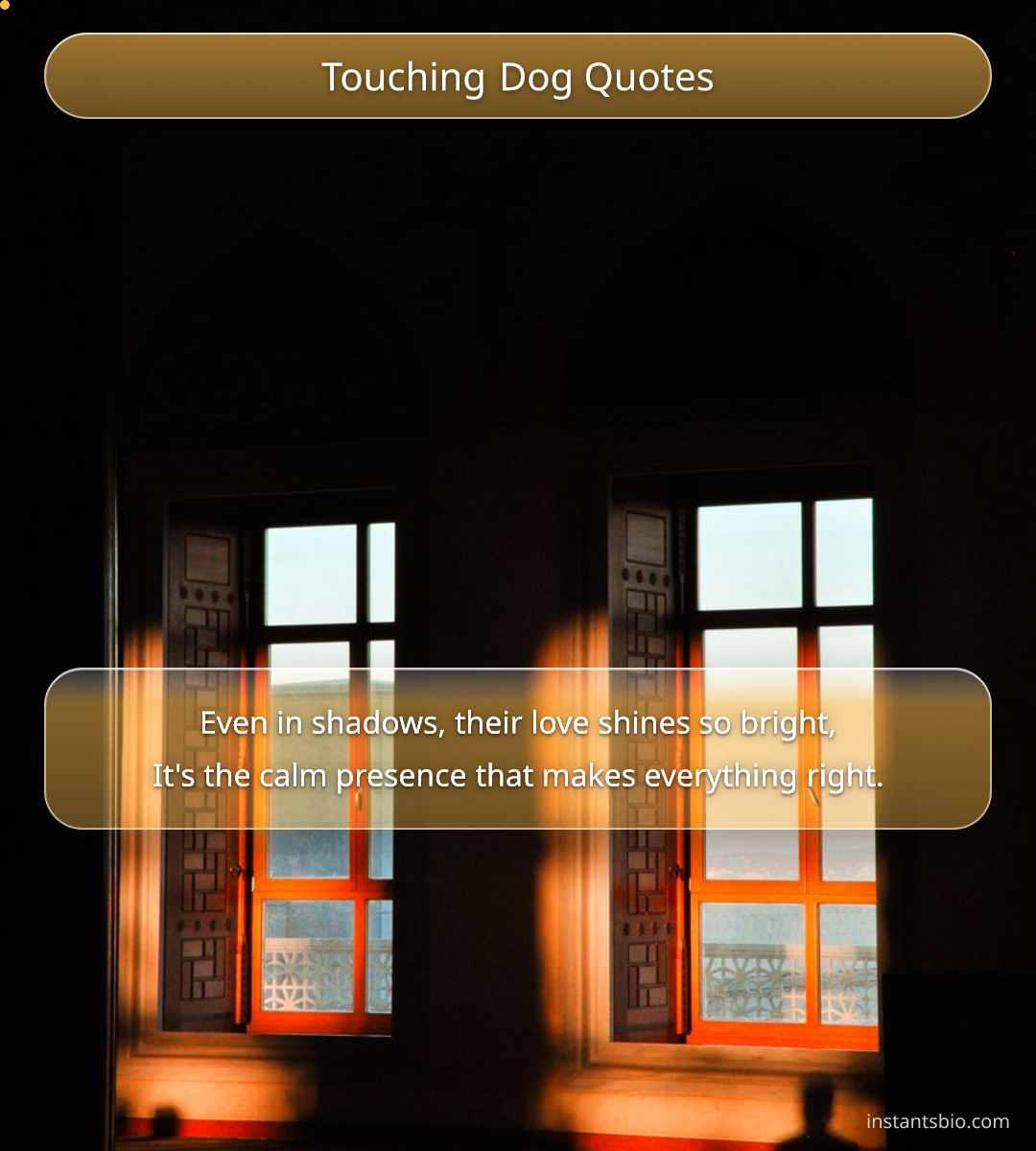 Touching Dog Quotes