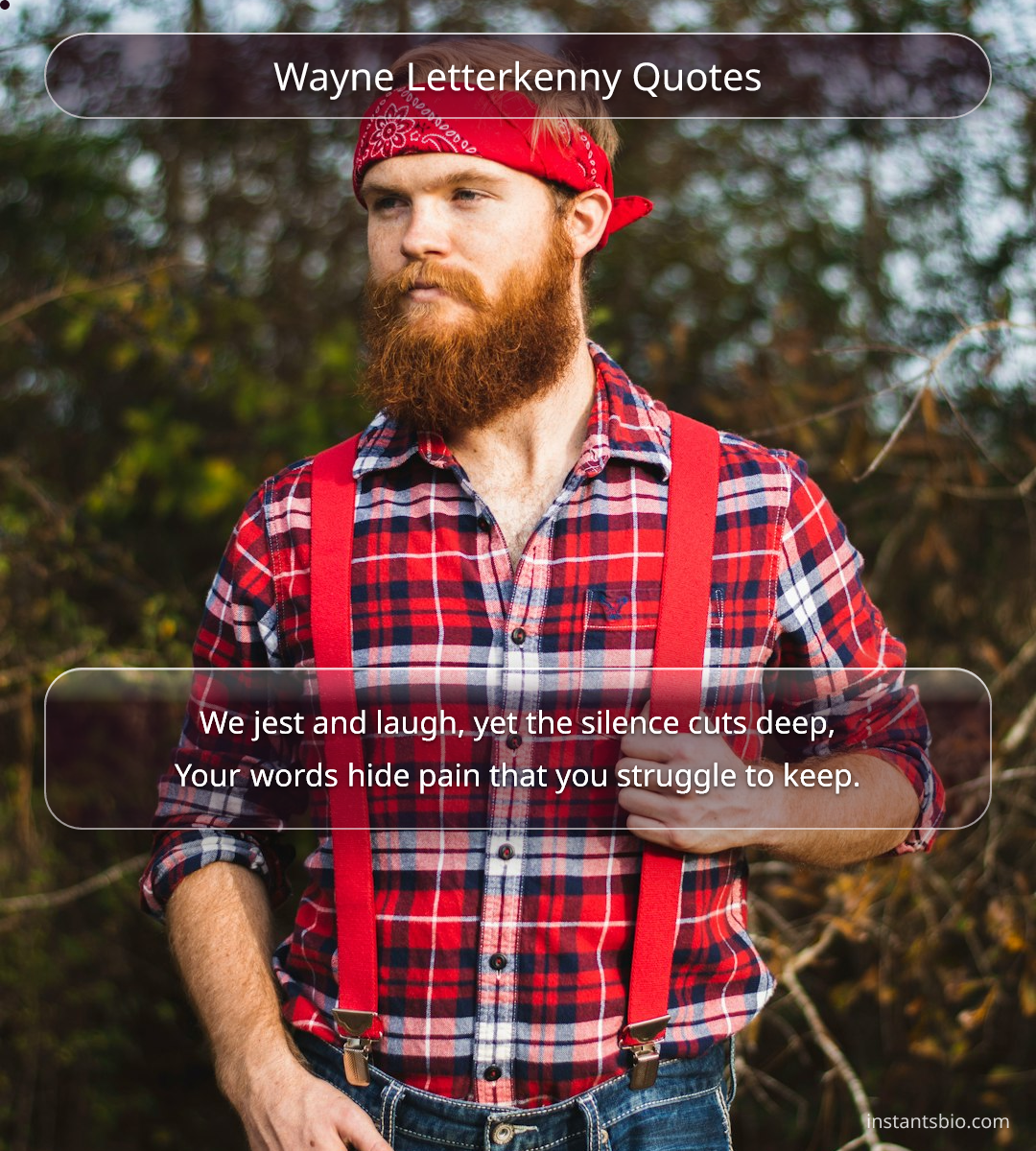 Wayne Letterkenny Quotes
