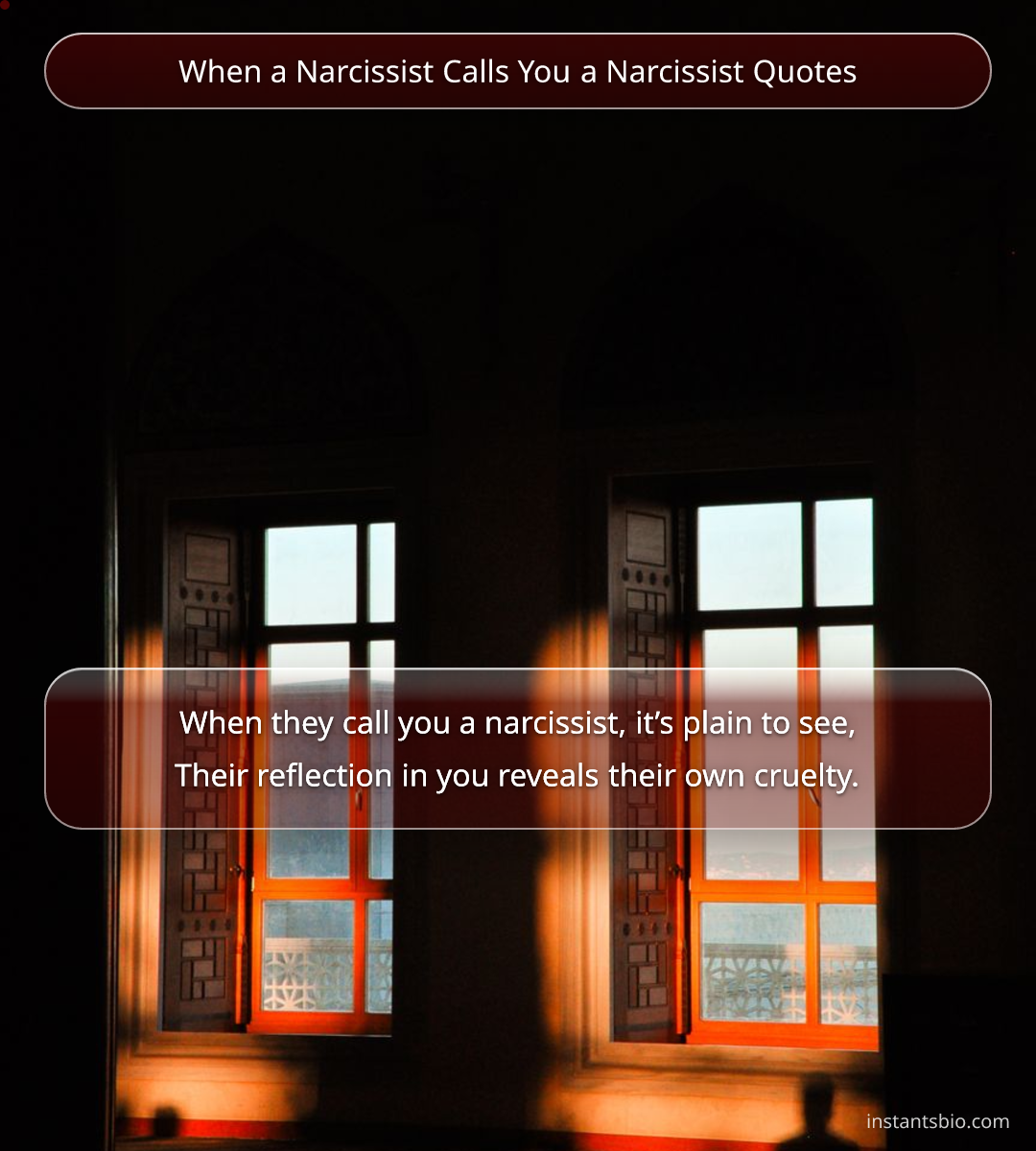 When a Narcissist Calls You a Narcissist Quotes