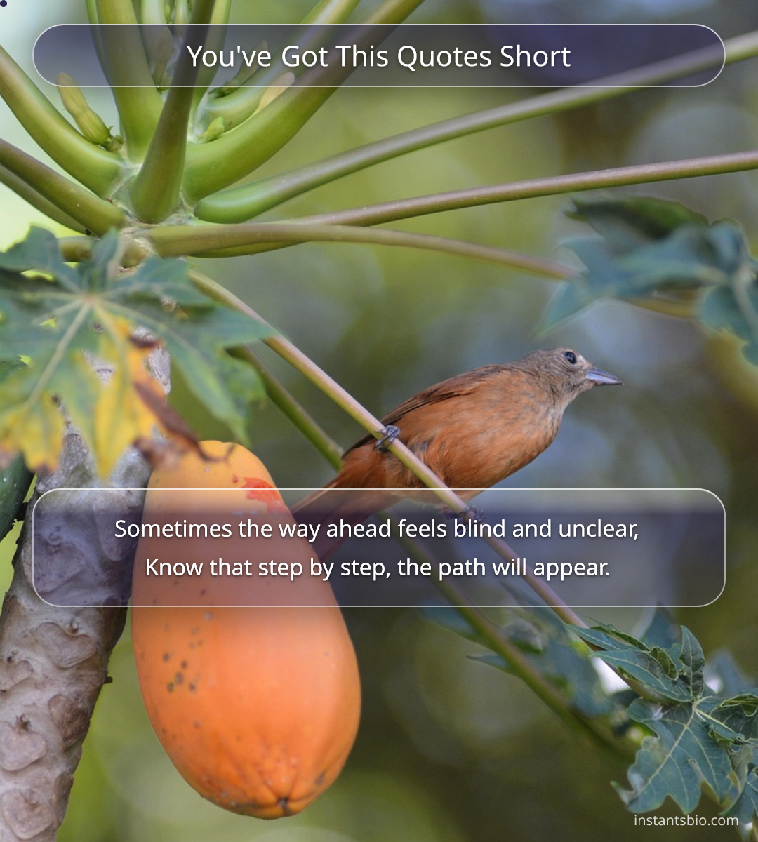 You've Got This Quotes Short - you got this quotes