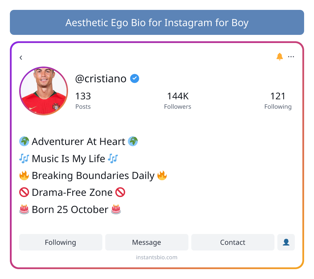 Aesthetic Ego Bio for Instagram for Boy