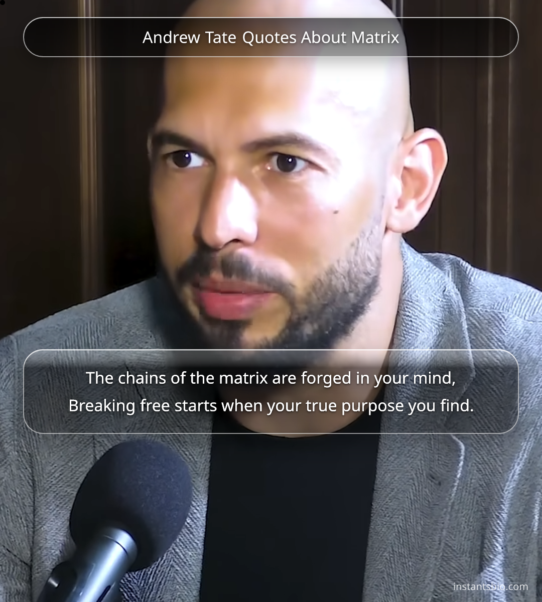 Andrew Tate Quotes About Matrix