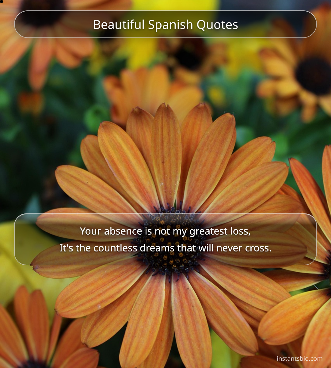 Beautiful Spanish Quotes