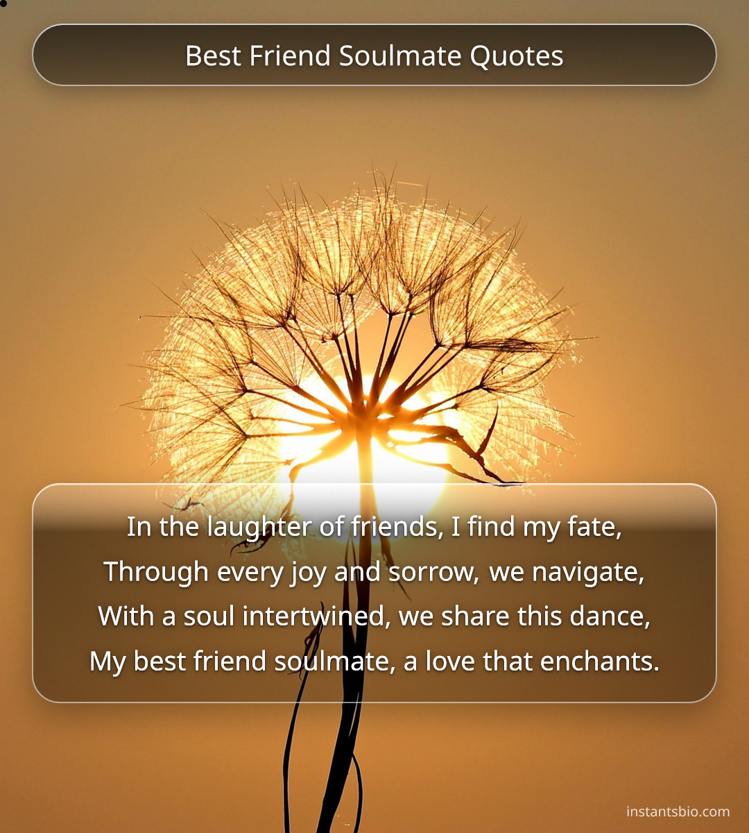 Best Friend Soulmate Quotes