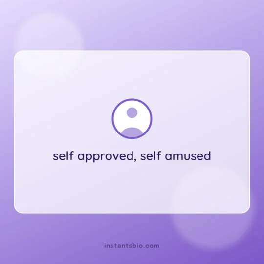Instagram Bio Font card: self approved, self amused