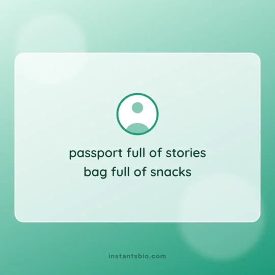 Instagram Bio Ideas card: passport full of stories