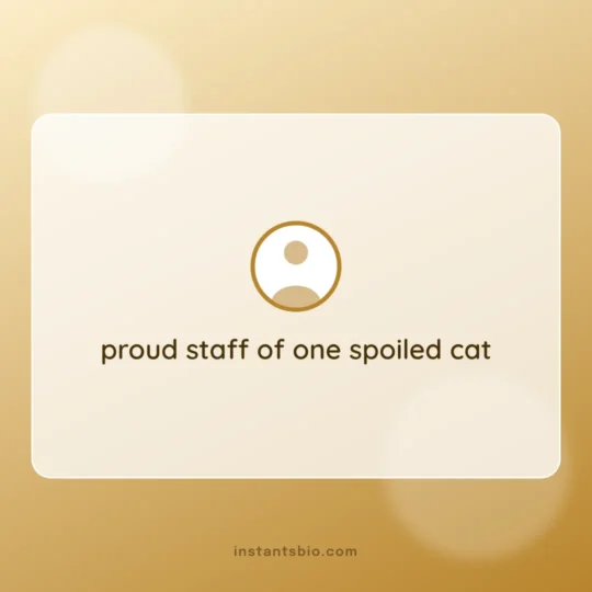 Instagram Bio Ideas card: proud staff of one spoiled cat