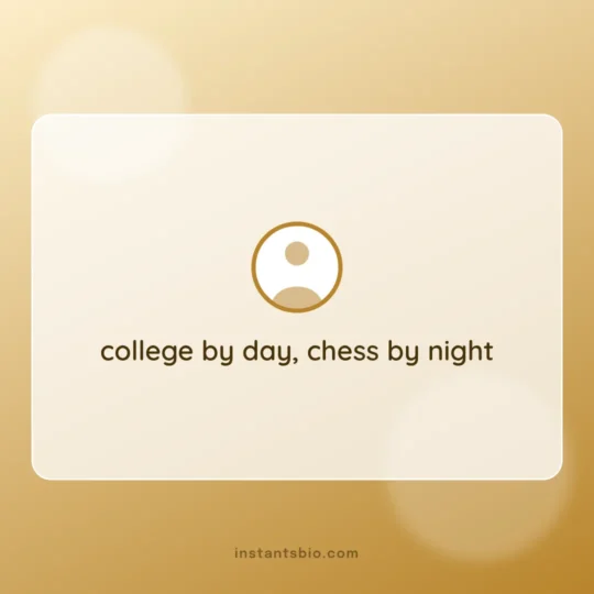 Boys Bio For Instagram card: college by day, chess by night