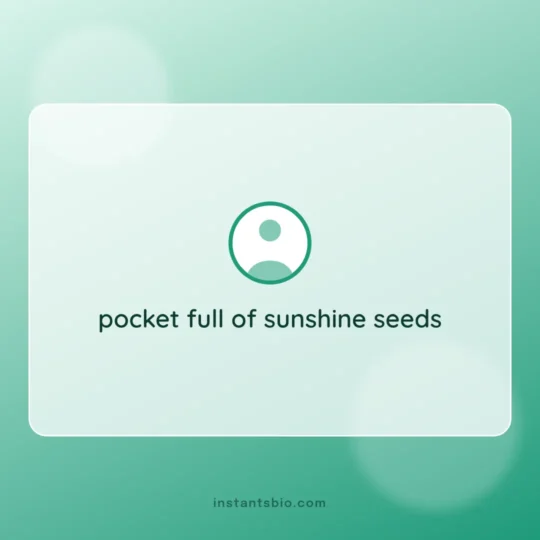 Cute Bio For Instagram For Girl card: pocket full of sunshine seeds