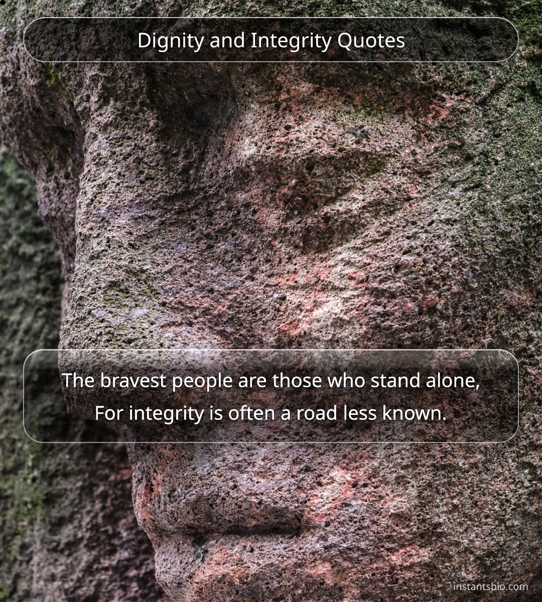 Dignity and Integrity Quotes