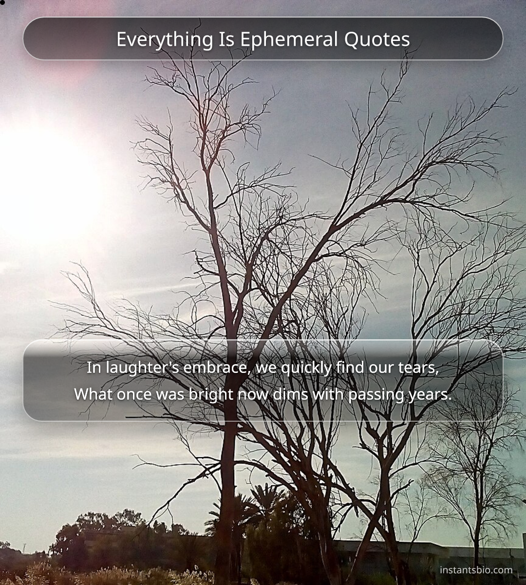 Everything Is Ephemeral Quotes - Ephemerality quotes