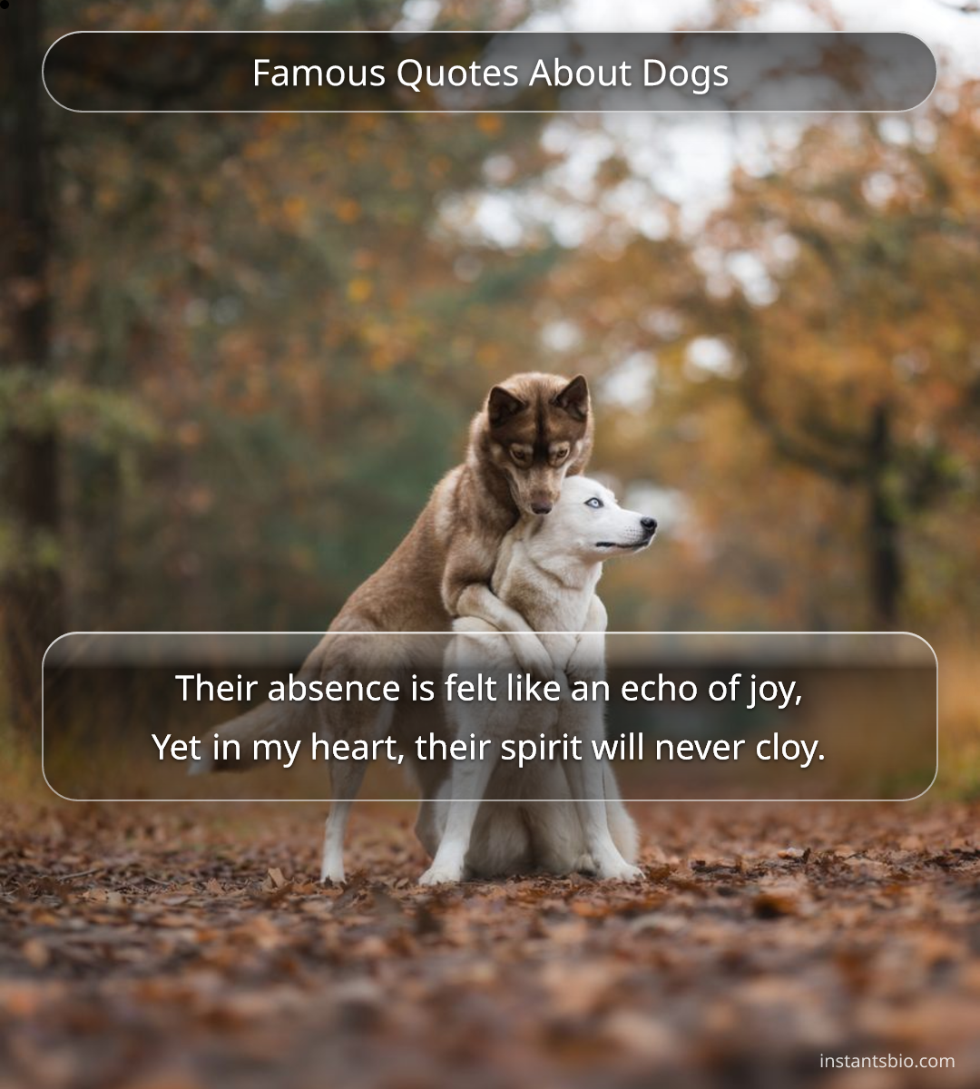 Famous Quotes About Dogs