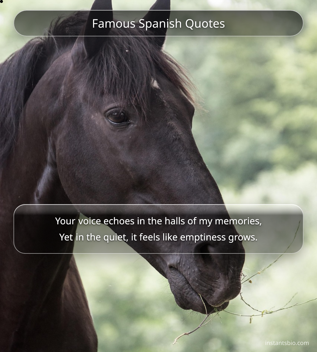 Famous Spanish Quotes