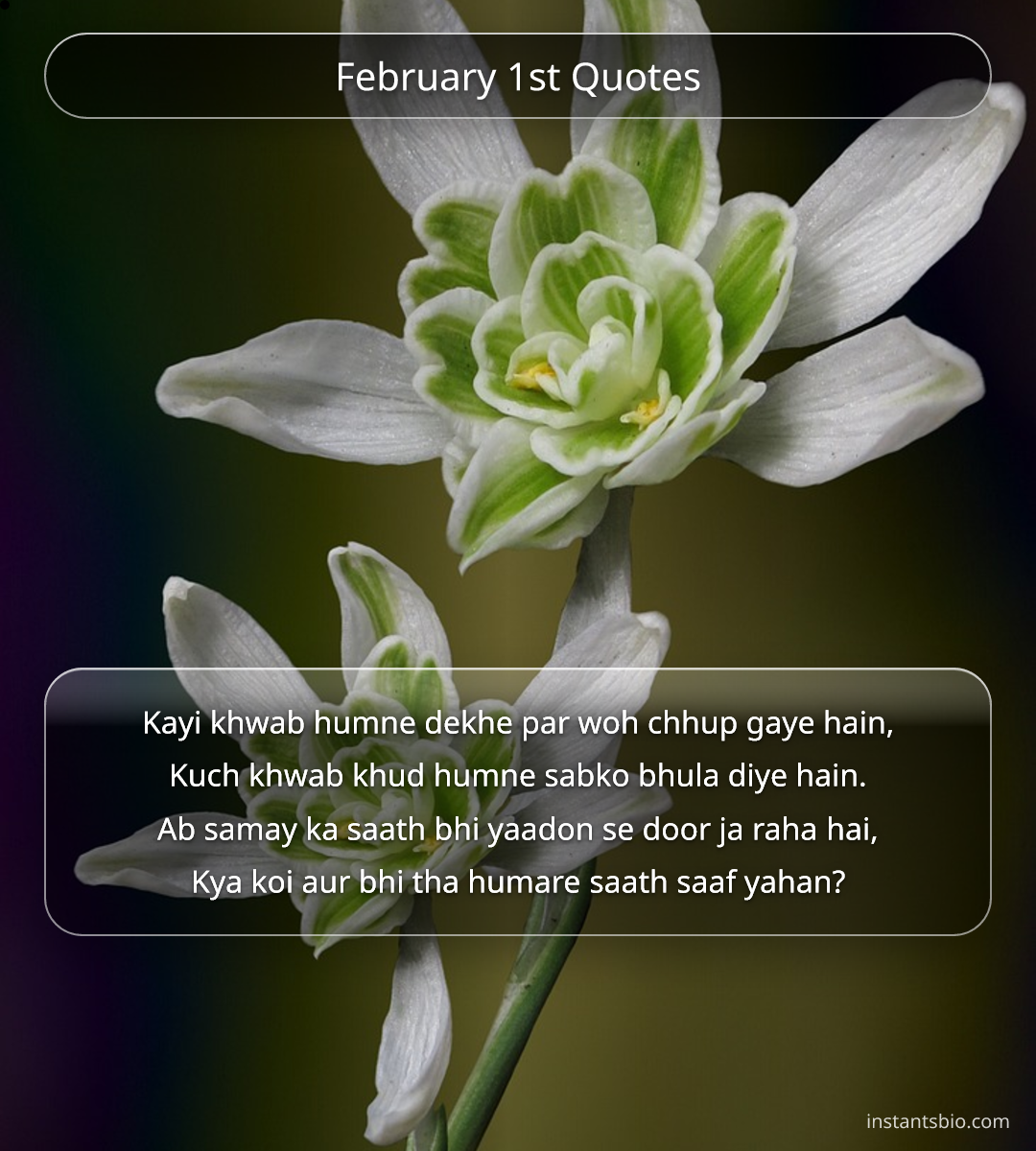 February 1st Quotes - February Quotes
