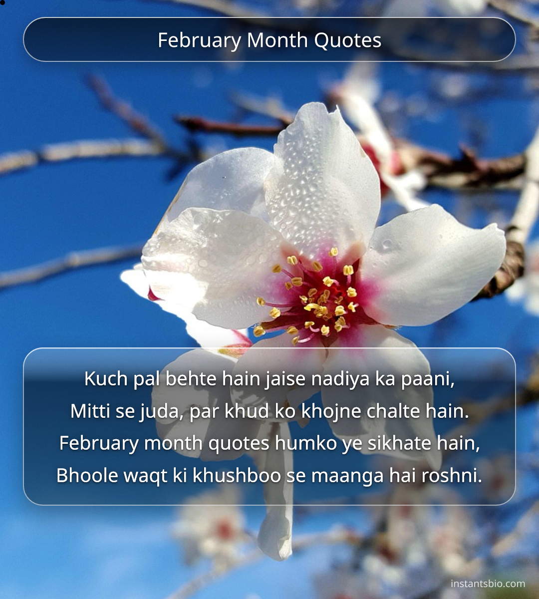 February Month Quotes - February Quotes