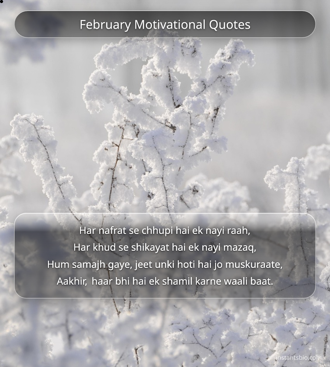 February Motivational Quotes - February Quotes