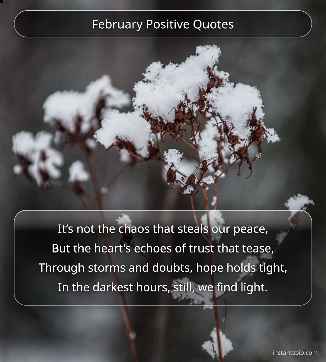 February Positive Quotes - February Quotes