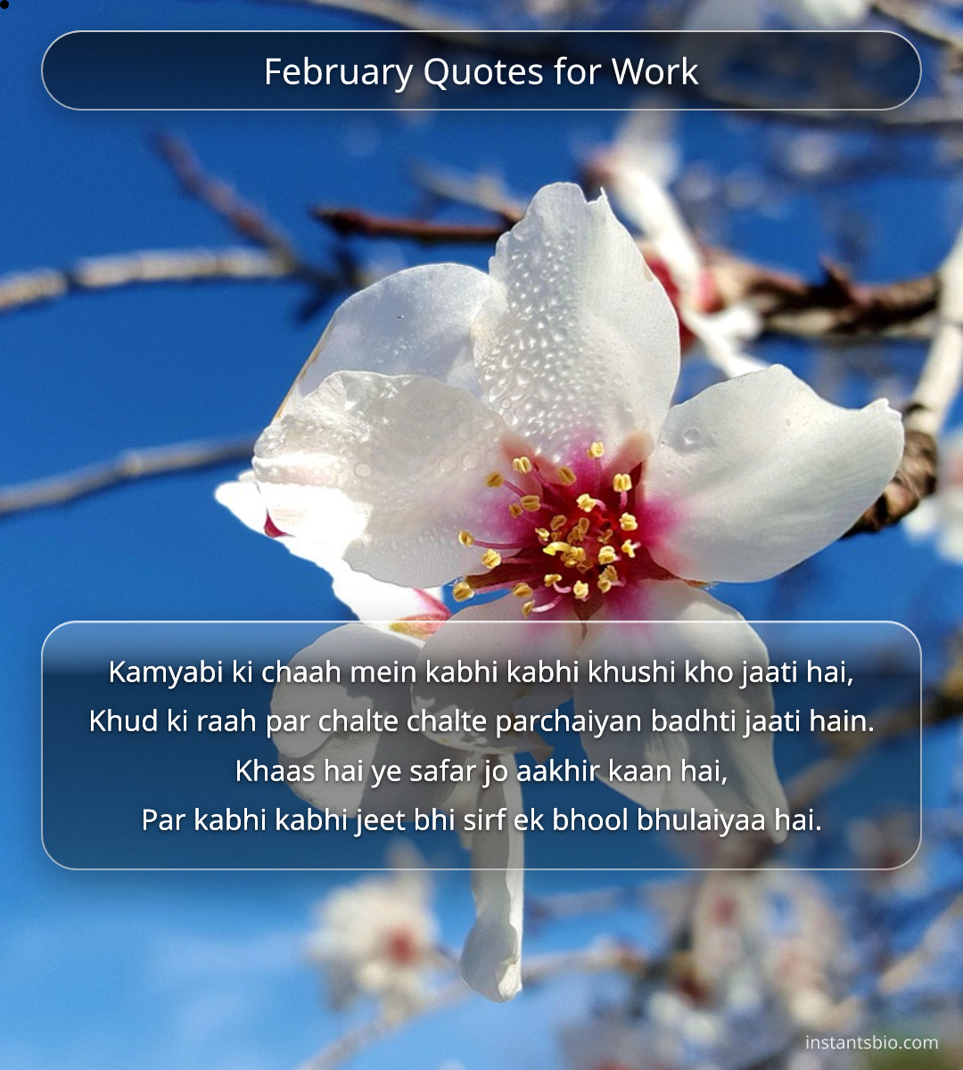 February Quotes for Work