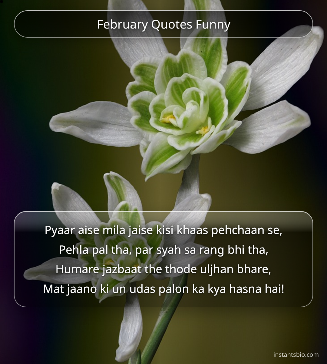 February Quotes Funny