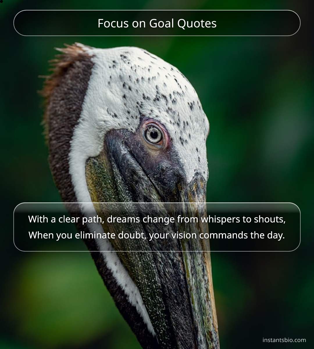 Focus on Goal Quotes - focus quotes