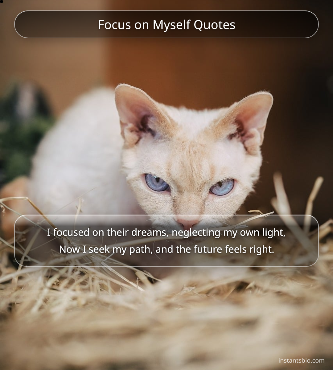 Focus on Myself Quotes - focus quotes
