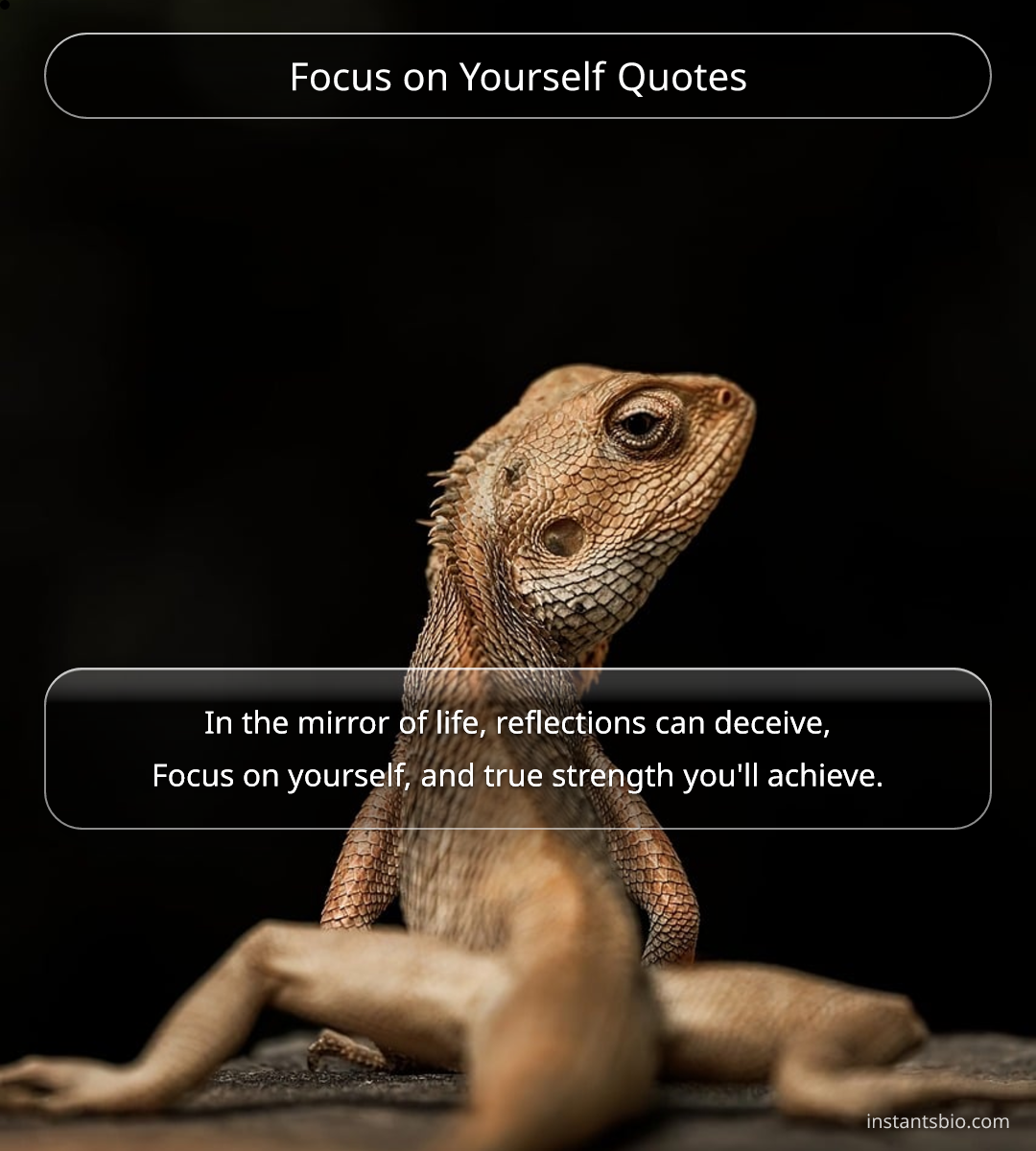 Focus on Yourself Quotes - focus quotes