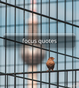 focus quotes