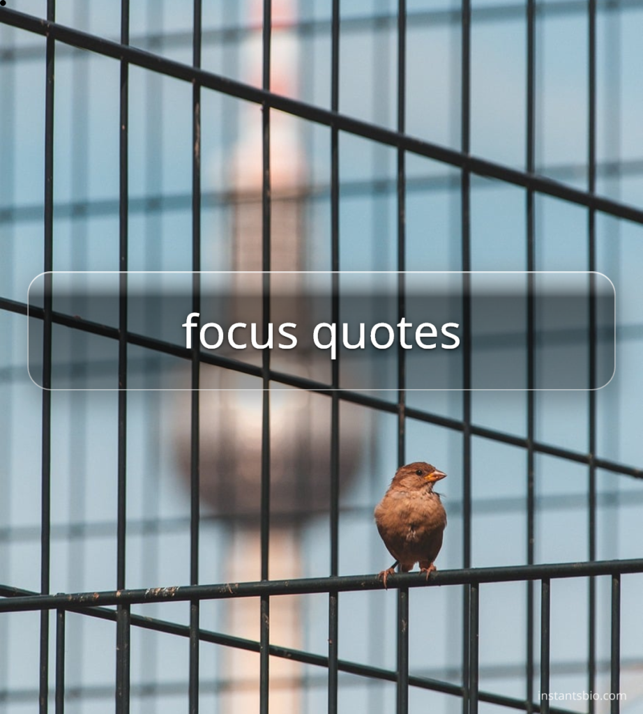 focus quotes