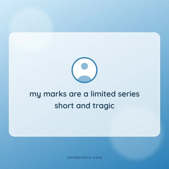 Funny Bio For Instagram card: my marks are a limited series