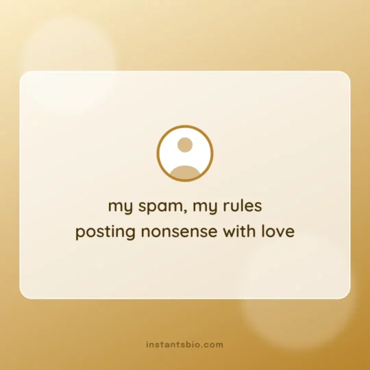 Funny Bio For Instagram card: my spam, my rules