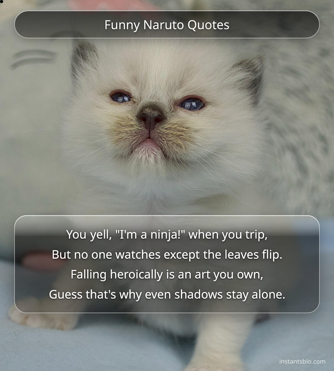 Funny Naruto Quotes
