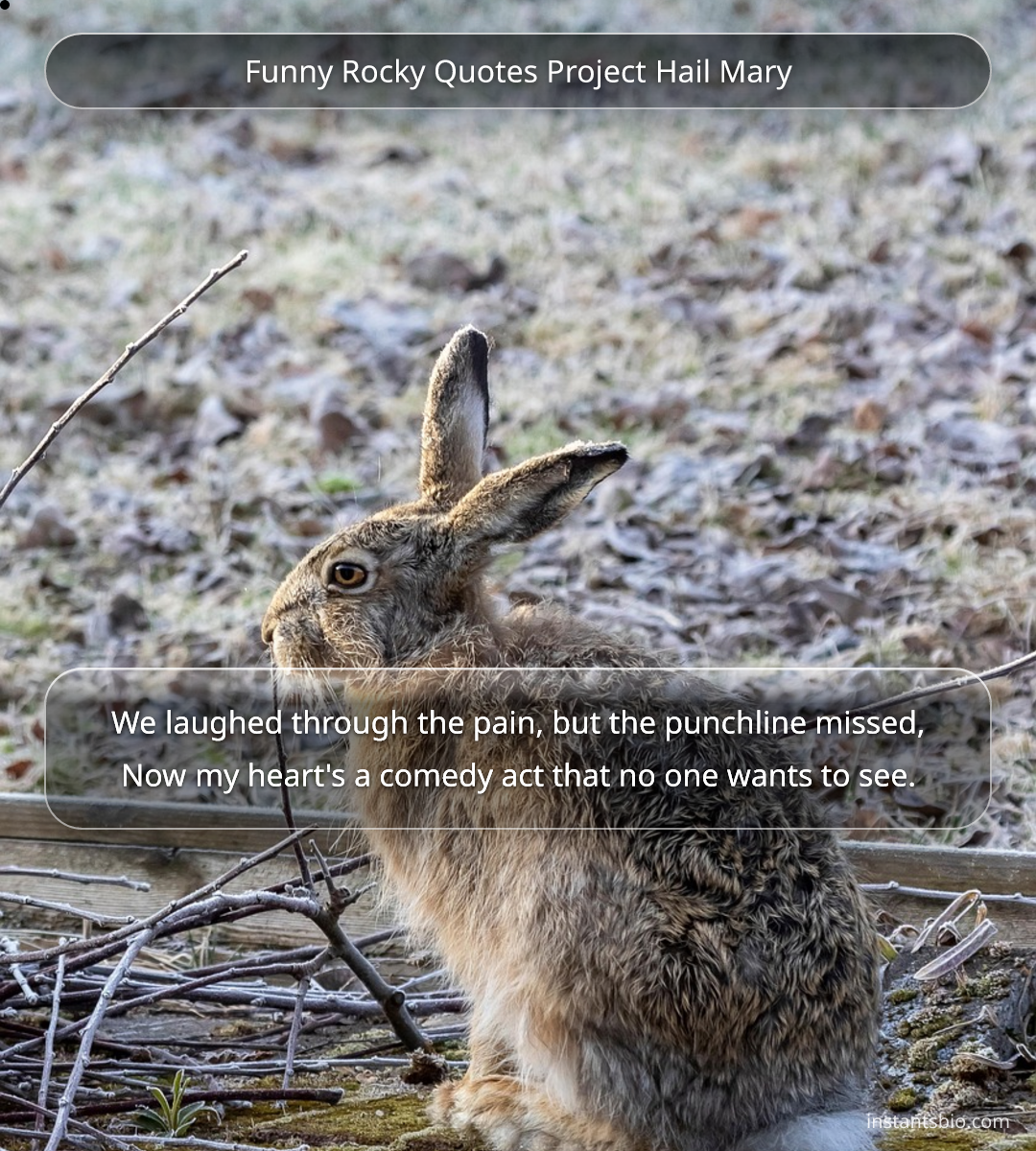 Funny Rocky Quotes Project Hail Mary