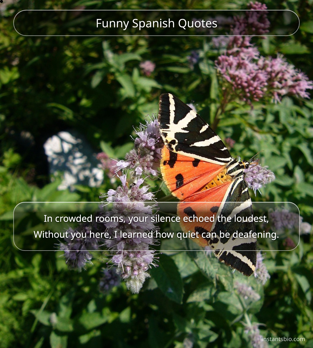 Funny Spanish Quotes