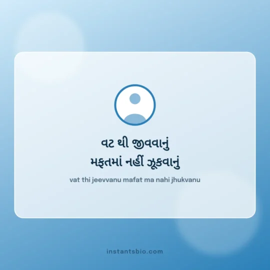 Instagram Bio Gujarati card: vat thi jeevvanu