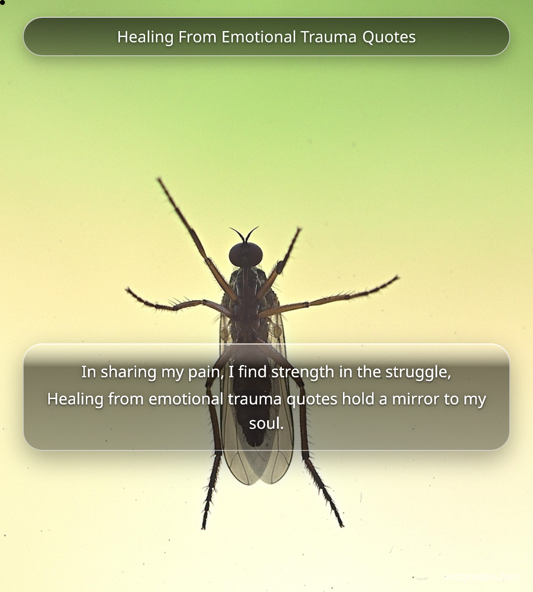 Healing From Emotional Trauma Quotes